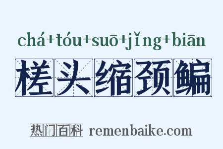 槎头缩颈鳊是什么意思的图片